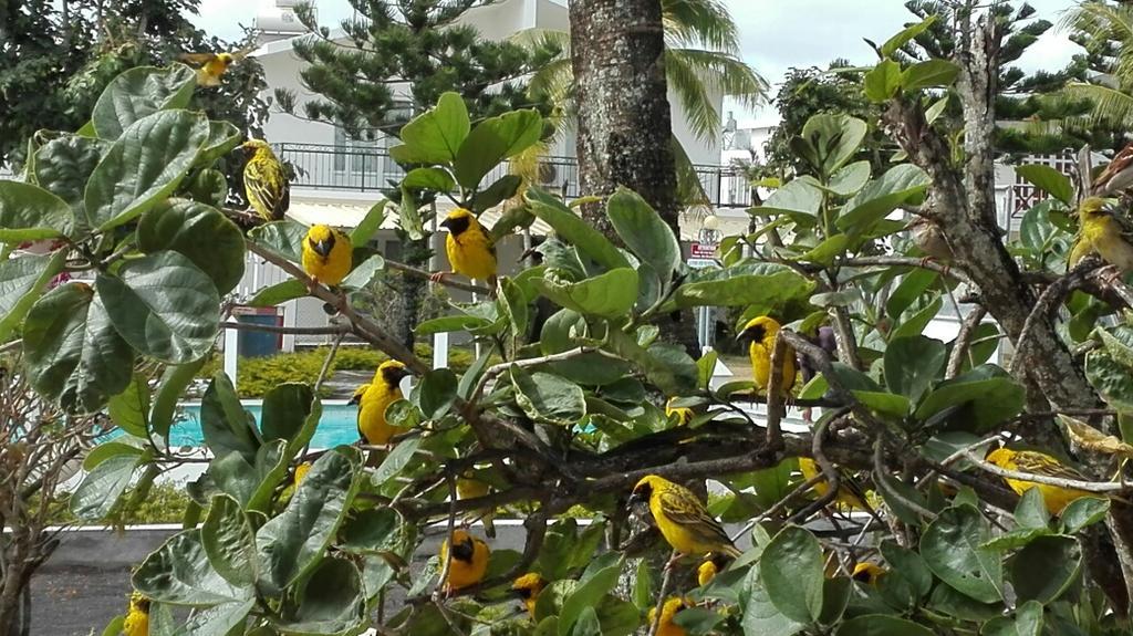 La Francaise Hotel Pereybere Beach Ngoại thất bức ảnh